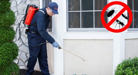 Mazgirt Fare İlaçlama böcek ilaçlama ve haşere kontrolü — ilaclama-tr.com